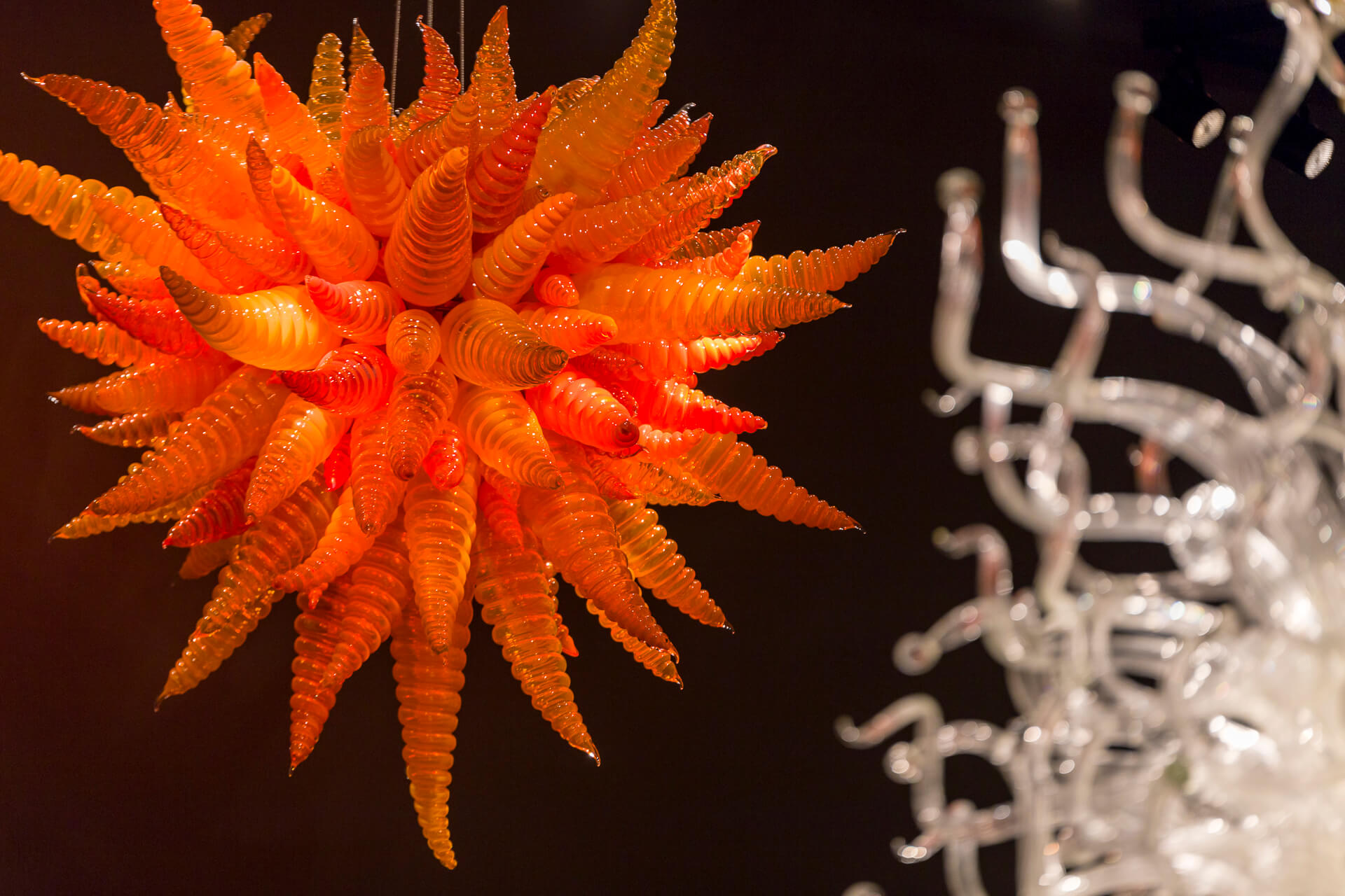 20170811-Chihuly-0178.jpg