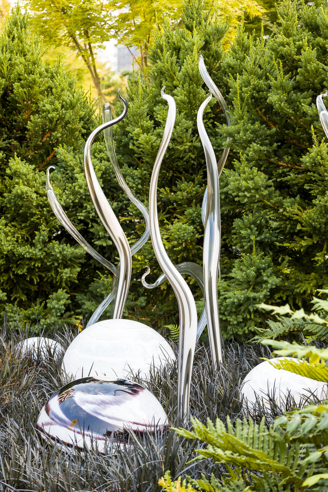 20170811-Chihuly-0248.jpg