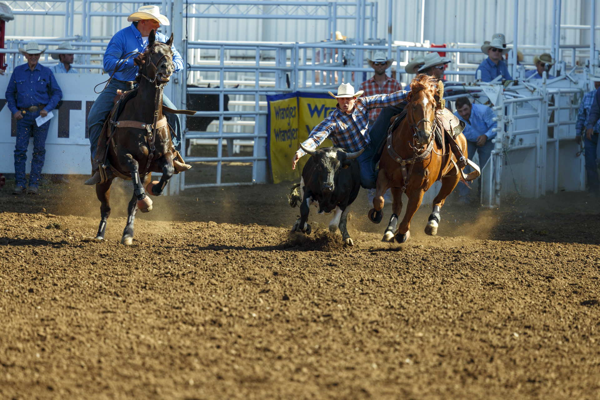 20250701-StPaulRodeo-0095-1920p.jpg